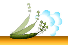 Charger l'image dans la galerie, Deps Bullflat