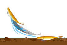 Load image into Gallery viewer, Deps Sakamata Shad