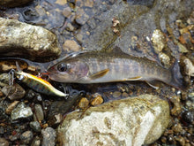 Charger l'image dans la galerie, Megabass GH45 FLATSIDE (FS)