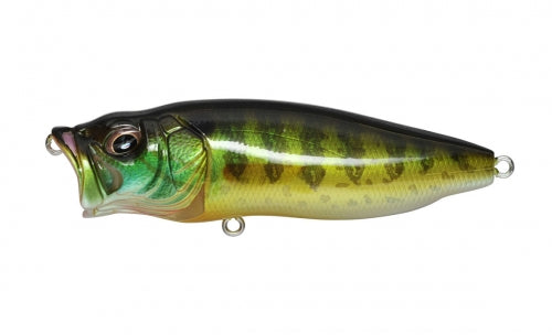Popmax – Élite Tackle