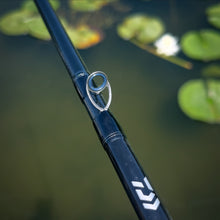 Load image into Gallery viewer, Daiwa Tatula Casting
