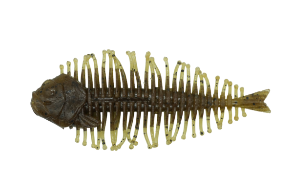 DSTYLE GEELACANTH 4インチ Dstyle Geelacanth – Élite Tackle