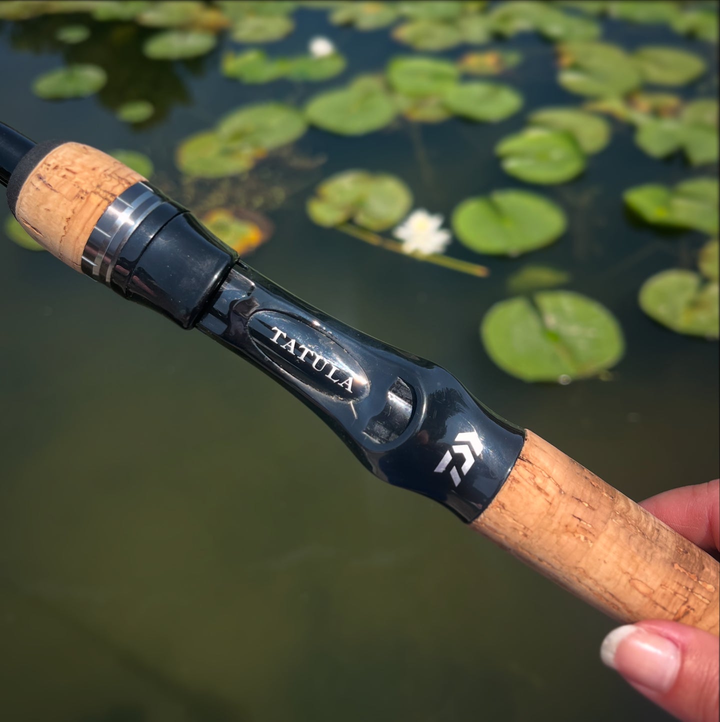 Daiwa Tatula Casting