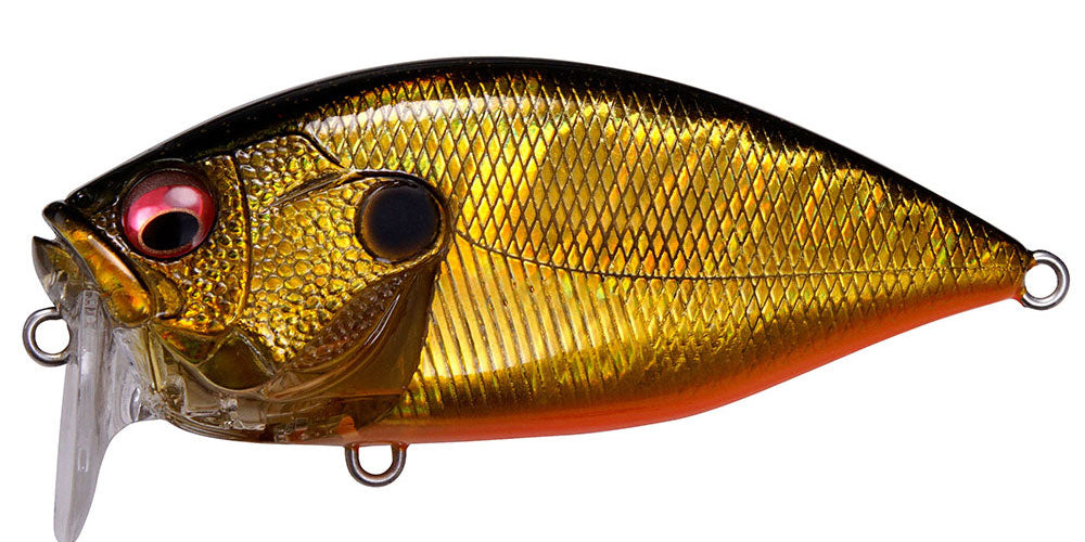 Élite Tackle