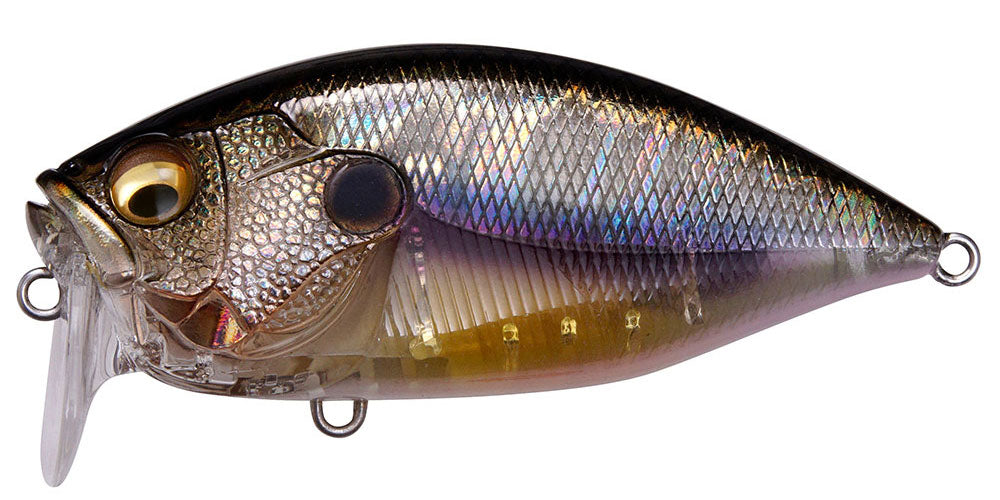 Élite Tackle