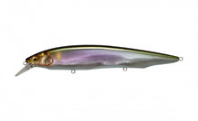 Vexan 4-Pack PHAT BOY 8 Crankbait Lures, Purple/Yellow/Blue/Clear, 8 ft,  Variety
